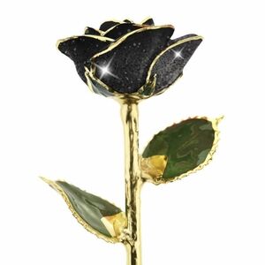 Steven Singer Preserved Black Rose